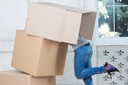 Cheap Removal Services in Denmark